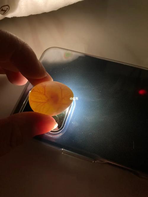 卢丁鸡孵化